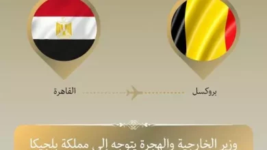 وزير الخارجية والهجرة