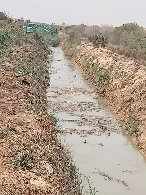 الزراعة