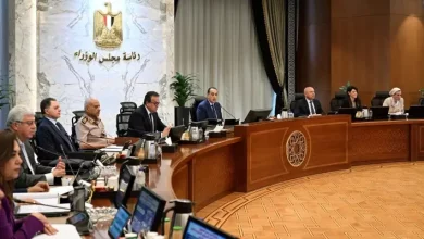 وزيرة التخطيط