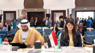 وزيرة التخطيط 