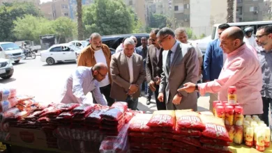 محافظ الجيزة