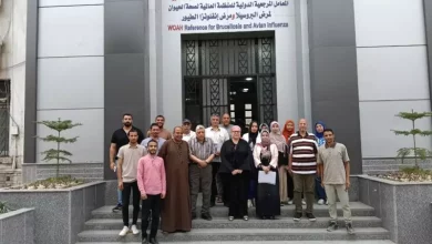 الصحة الحيوانية