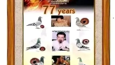 السياحة التراثية