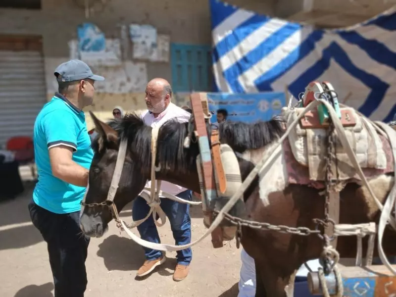 الخدمات البيطرية