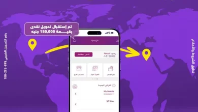 شركة وي