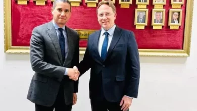 مصر وفرنسا