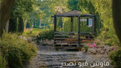 ماونتن ڤيو