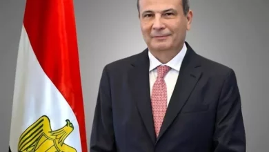سيل