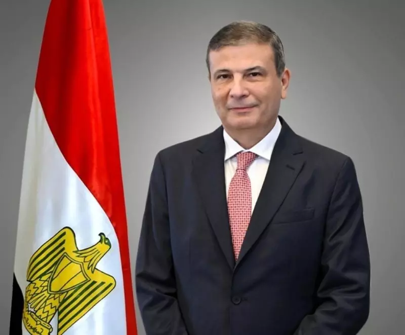 سيل