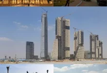 شعبة البناء