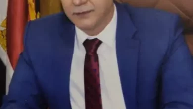 نائب عمال مصر