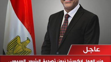 وزير العمل