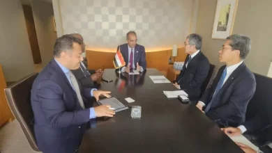 عمرو طلعت 
