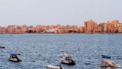 سنوهيتا