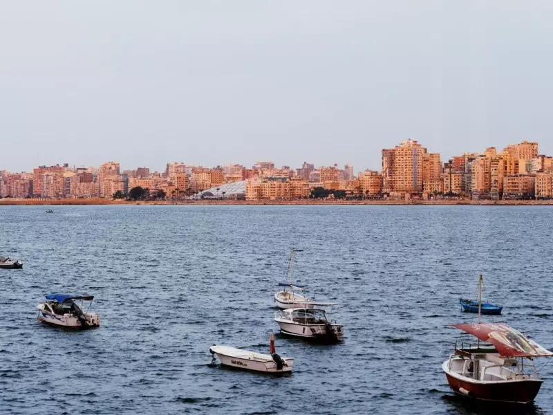 سنوهيتا