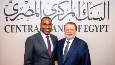 نائب مدير صندوق النقد الدولي