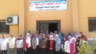 الزراعة