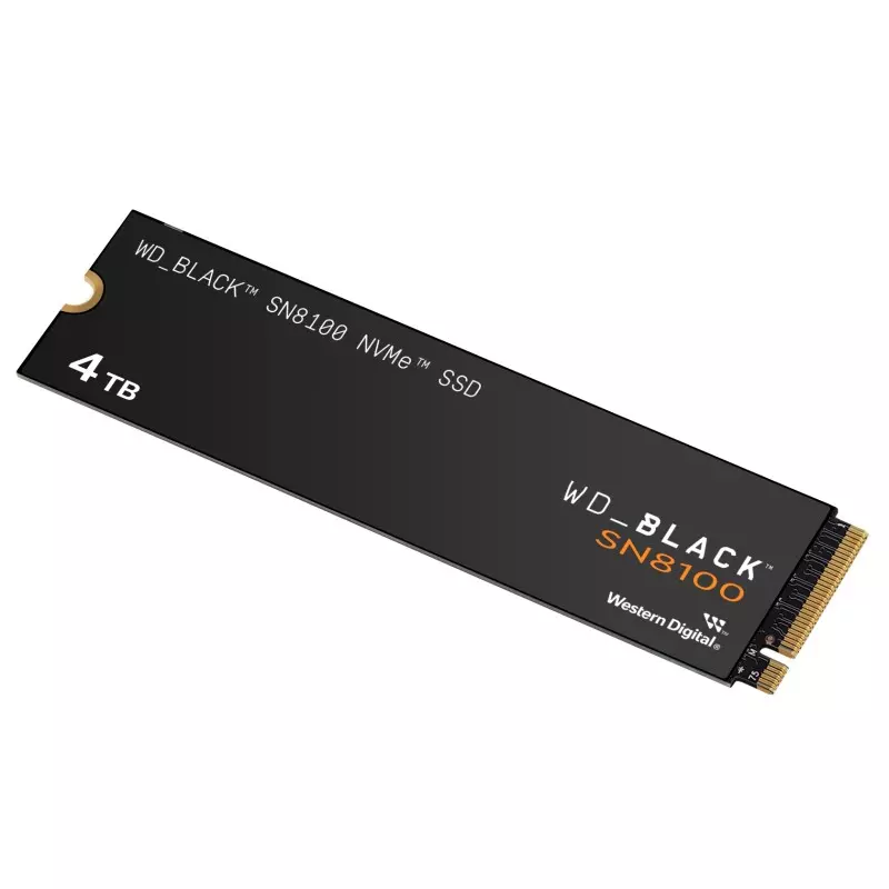 SanDisk