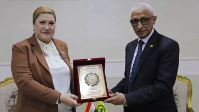محافظ شمال سيناء