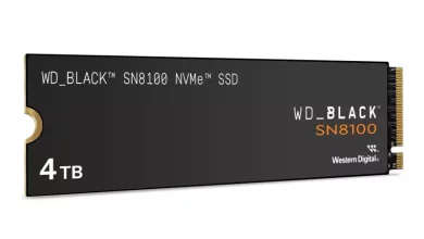 SanDisk