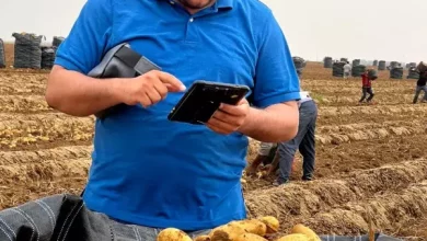 الزراعة