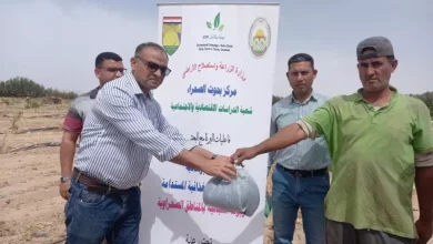 الزراعة