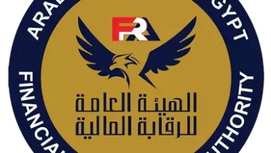 الرقابة المالية