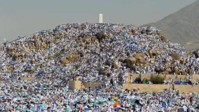 السياحة
