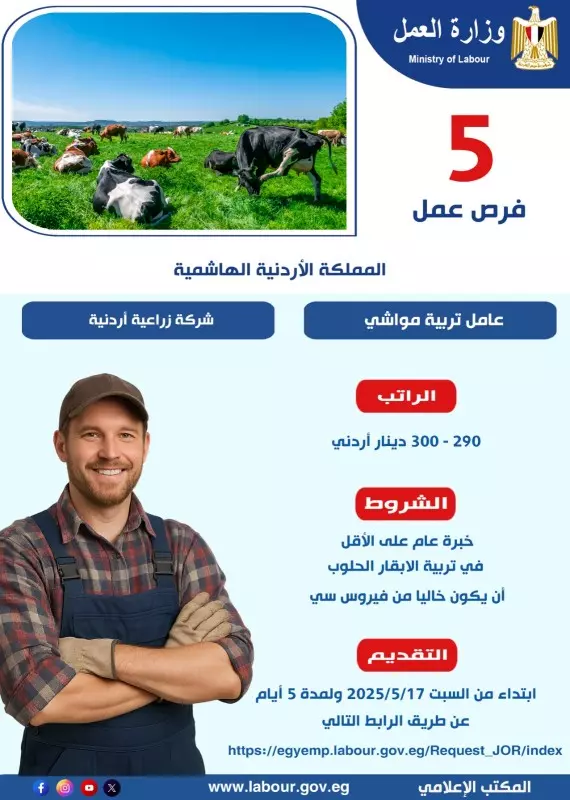 وزارة العمل