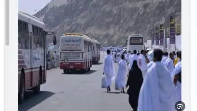الحج البري