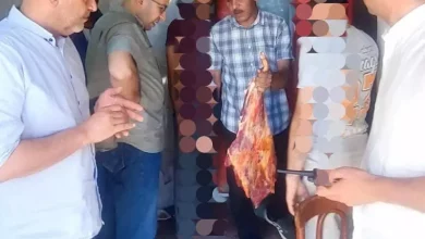الزراعة
