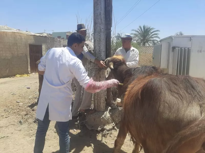 وزارة الزراعة 
