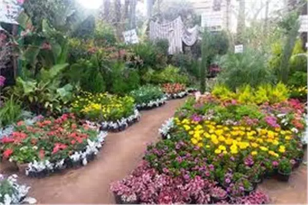 حدائق وزارة الزراعة 