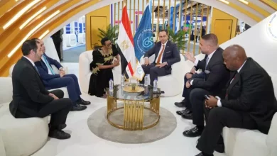 الرعاية الصحية