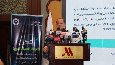 وزير المالية