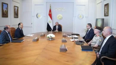 السيسي
