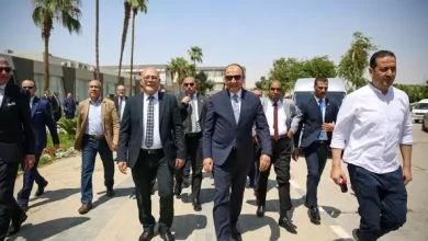 وزير قطاع الأعمال
