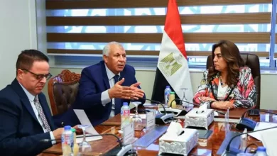 وزيرة التنمية