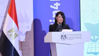 وزيرة التخطيط