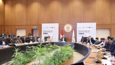 بنك المعرفة المصري
