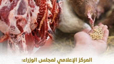مجلس الوزراء