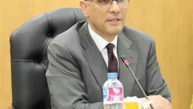 محافظ الجيزة
