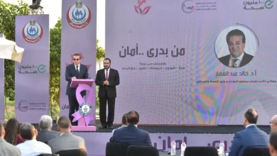 نائب رئيس مجلس الوزراء