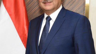 وزير قطاع الأعمال