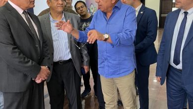 وزير الكهرباء