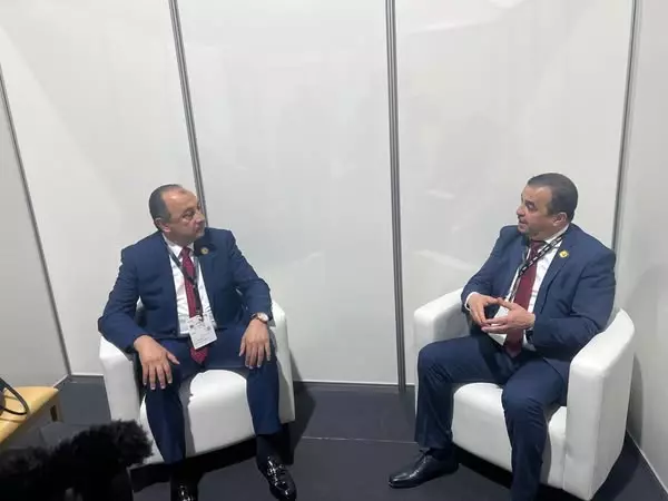 وزير قطاع الأعمال