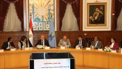 محافظ القاهرة