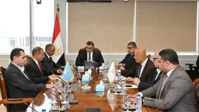 وزير الإسكان