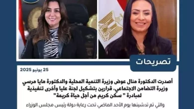 وزارة التنمية المحلية