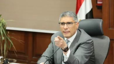 محافظ الجيزة